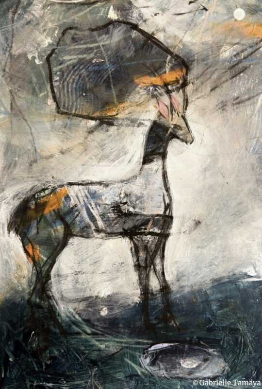 Enlight2169